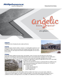 Angelic Bakery Industrial Executive Summary.pdf